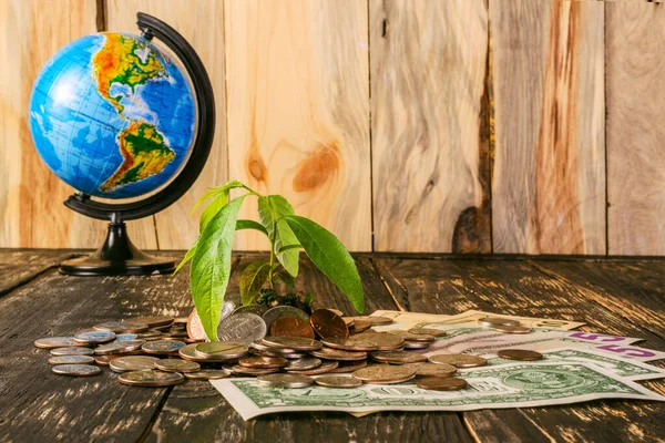 Bir yığın Amerikan parasından ve banknotlarından filizlenir. Yan taraftaki küreyi de. Amerika 'nın yatırım ve iş dünyasındaki para artışı kavramı finansal metafor. Koyu bir ahşap arka planda.