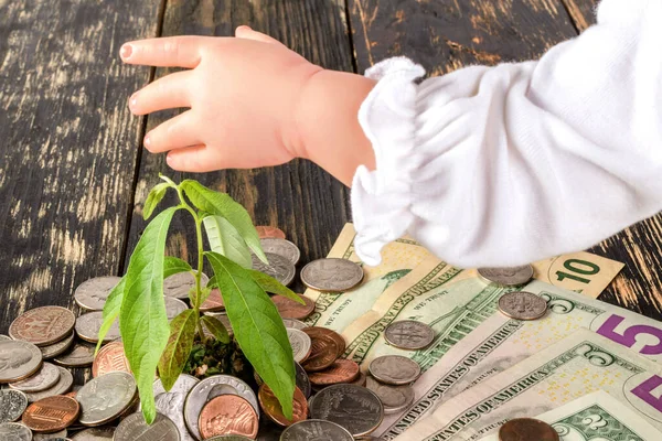 Bir çocuğun eli, Amerikan sikkeleri ve banknotlarından filizlenen bir bitkiye uzanır. Çocuklara finansal okuryazarlık öğretme kavramı. Yakın plan..