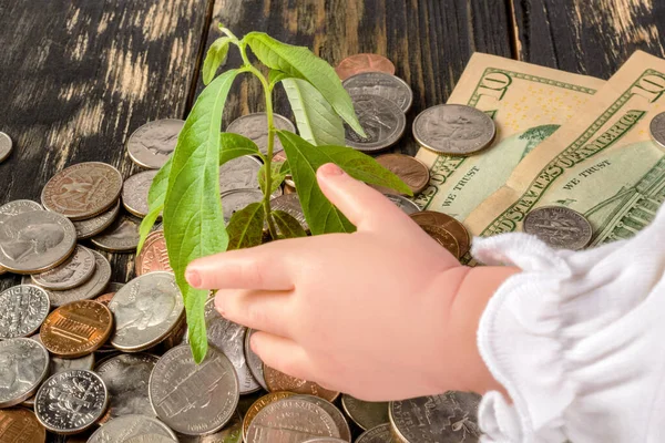 Bir çocuğun eli, Amerikan sikkeleri ve banknotlarından filizlenen bir bitkiye uzanır. Çocuklara finansal okuryazarlık öğretme kavramı. Yakın plan..