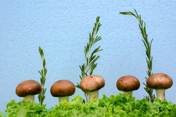 Mavi arka planda mantar şampiyonları ve marul yaprakları.