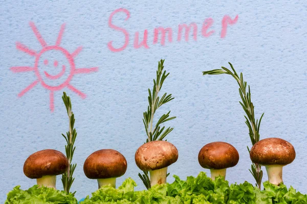 Mavi arka planda mantar şampiyonları ve marul yaprakları. Güneşin çizimi ve yazıtlar 