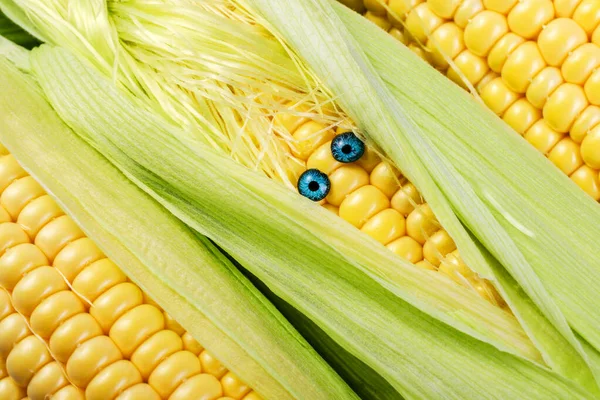 Три Кувшина Спелой Сладкой Кукурузы Забавными Глазами — стоковое фото