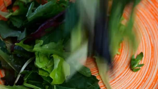 Salata verde mixtă, rucola și alte ierburi sunt puse în vase largi pentru prepararea varietății de alimente vegetariene. Close-up . — Videoclip de stoc