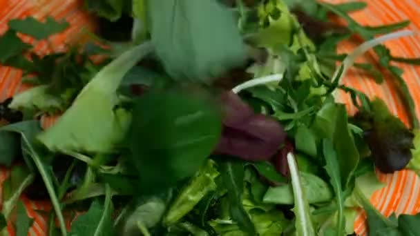 Mixed lettuce, rucola and other herbs are put in wide dish and decorate with pansy flower for preparation variety of vegetarian food. Close-up. — Stock Video