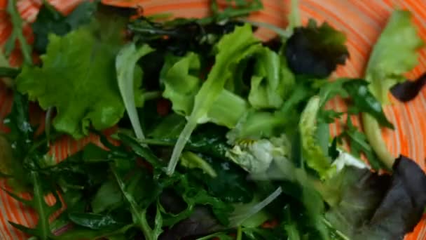 Mixed lettuce, rucola and other herbs are put in wide dish and sprinkle with grated cheese for preparation variety of vegetarian food. Close-up. — Stock Video