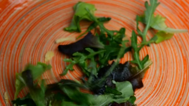 Листя салату, рукола та інші трави, змішані з тертим сиром, кладуть у широку тарілку і прикрашають сосновою квіточкою для приготування різноманітної вегетаріанської їжі. Крупним планом . — стокове відео