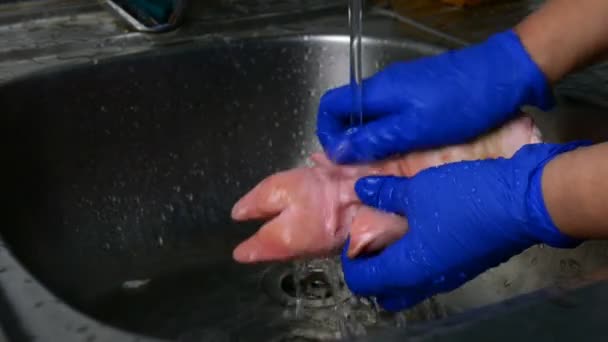 Preparation pork legs. Step by step. Human hands in rubber gloves thoroughly wash pig legs in kitchen sink under a stream of running water. Close-up. — Stock Video