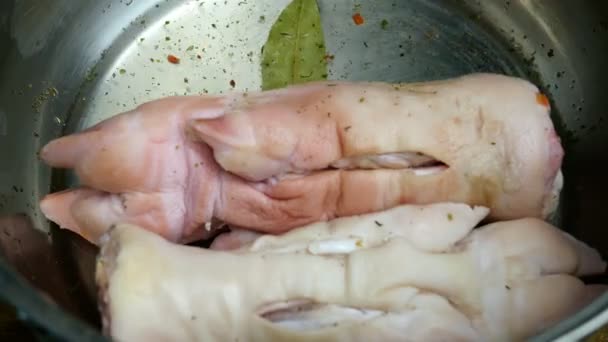Bereiding varkenspoten. Stap voor stap. Menselijke handen in handschoenen doen rauwe varkenspoten in metalen kookpan en giet schoon water voor vervolgens koken. — Stockvideo