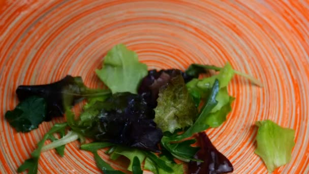 A vegyes salátát, a rukkolát és más gyógynövényeket széles ételbe teszik, és árvácsvirággal díszítik a vegetáriánus ételek elkészítése érdekében. Közelkép. — Stock videók