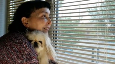 Yetişkin esmer kadın, beyaz Pekin köpeği ile beyaz ırk kökenli, panjurları açıyor ve pencereden sokağa bakıyor. Yakın plan..