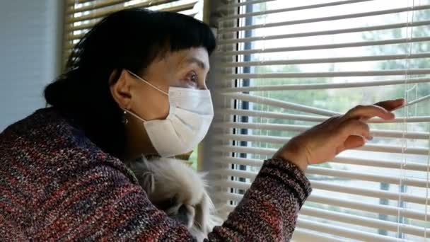 Mujer morena adulta madura de etnia caucásica, con su perrito pekinés blanco, en máscara médica abriendo persianas y mirando por la ventana a través de persianas a la calle. Primer plano . — Vídeos de Stock