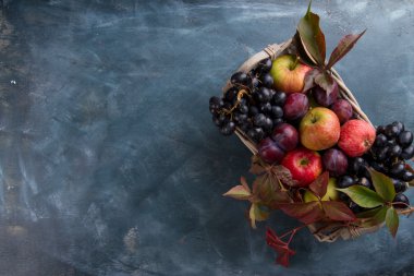 sonbahar meyveleri ve sebzeleri