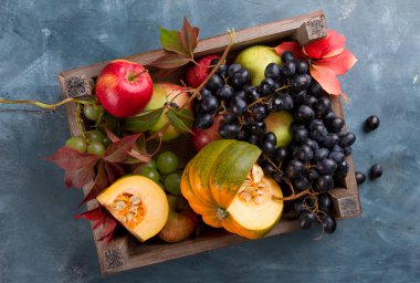 sonbahar meyveleri ve sebzeleri