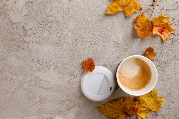 秋の紅葉に紙のコーヒー カップ — ストック写真