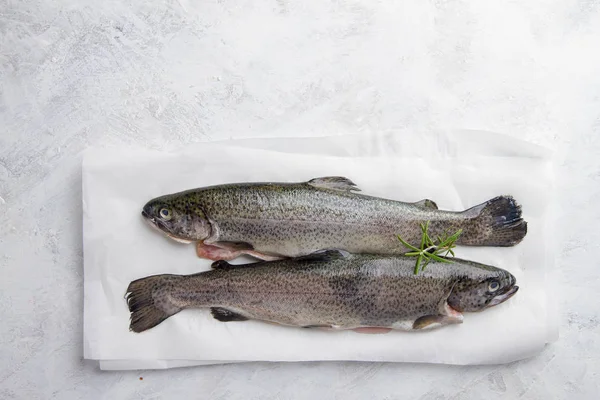 Peixe fresco delicioso (truta ) — Fotografia de Stock