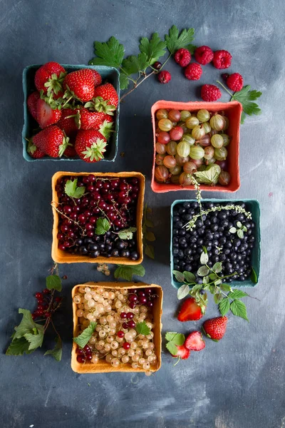 Various fresh berries — Stock Photo, Image