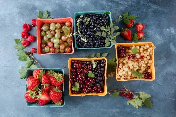 Various fresh berries — Stock Photo, Image