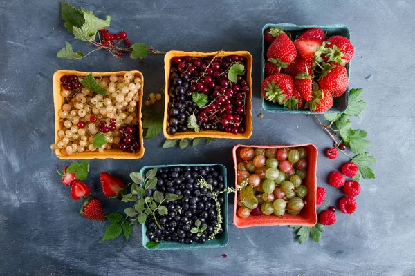 Various fresh berries — Stock Photo, Image