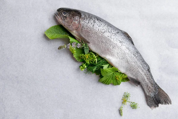 Delicioso pescado fresco (trucha ) —  Fotos de Stock