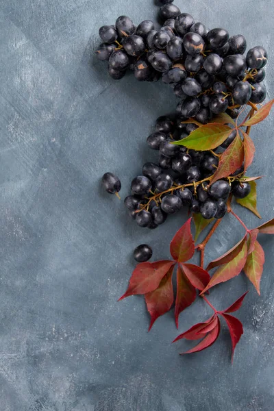 Fresh grapes on wooden background — Stock Photo, Image