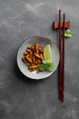 Gevrek Fried böcekler (ahşap solucan böcek)