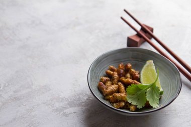 Gevrek Fried böcekler (ahşap solucan böcek)