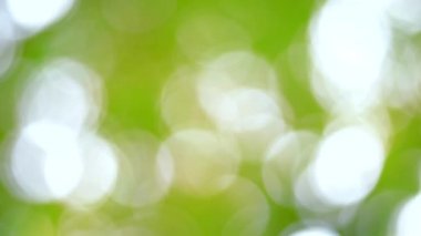 Bahar bokeh doğası, soyut arkaplan, ilkbaharda veya yaz mevsiminde güzel bulanık yeşil yapraklar, ağaçların odak noktasını bulanıklaştıran yeşil bokehlerdir..