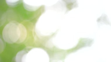 Bahar bokeh doğası, soyut arkaplan, ilkbaharda veya yaz mevsiminde güzel bulanık yeşil yapraklar, ağaçların odak noktasını bulanıklaştıran yeşil bokehlerdir..