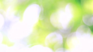 Bahar bokeh doğası, soyut arkaplan, ilkbaharda veya yaz mevsiminde güzel bulanık yeşil yapraklar, ağaçların odak noktasını bulanıklaştıran yeşil bokehlerdir..