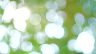 Bahar bokeh doğası, soyut arkaplan, ilkbaharda veya yaz mevsiminde güzel bulanık yeşil yapraklar, ağaçların odak noktasını bulanıklaştıran yeşil bokehlerdir..