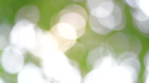 Lente Bokeh Natuur Abstracte Achtergrond Groene Bladeren Vervagen Prachtig Het — Stockvideo