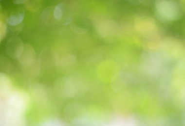 Ağaçtaki yeşil yapraklardan Bokeh arkaplanı. Yeşil açık yeşil ve bulanık sarı. Bu fotoğraf yazın, yeşille çekilmiş. Görüntüyü serin ve gözlere iyi gelir.