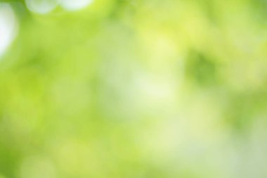 Bahar bokeh doğası soyut arkaplan. Yeşil yapraklar bulanık, ilkbaharda veya yaz mevsiminde güzel, ağaçtan bulanıklaşacak yaprakların odak noktasını seçen yeşil bokehlerdir..