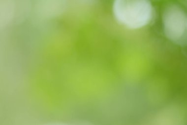 Ağaçtaki yeşil yapraklardan Bokeh arkaplanı. Yeşil açık yeşil ve bulanık sarı. Bu fotoğraf yazın, yeşille çekilmiş. Görüntüyü serin ve gözlere iyi gelir.