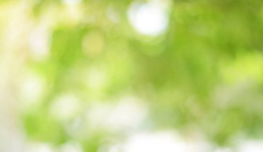 Bahar bokeh doğası soyut arkaplan. Yeşil yapraklar bulanık, ilkbaharda veya yaz mevsiminde güzel, ağaçtan bulanıklaşacak yaprakların odak noktasını seçen yeşil bokehlerdir..