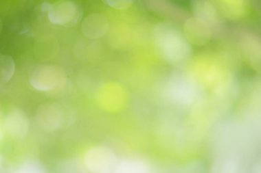 Bahar bokeh doğası soyut arkaplan. Yeşil yapraklar bulanık, ilkbaharda veya yaz mevsiminde güzel, ağaçtan bulanıklaşacak yaprakların odak noktasını seçen yeşil bokehlerdir..