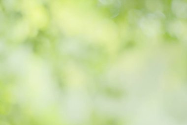 Bahar bokeh doğası soyut arkaplan. Yeşil yapraklar bulanık, ilkbaharda veya yaz mevsiminde güzel, ağaçtan bulanıklaşacak yaprakların odak noktasını seçen yeşil bokehlerdir..