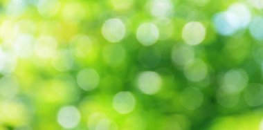 Bahar bokeh doğası soyut arkaplan. Yeşil yapraklar bulanık, ilkbaharda veya yaz mevsiminde güzel, ağaçtan bulanıklaşacak yaprakların odak noktasını seçen yeşil bokehlerdir..