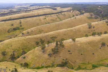 Adelaide 'in güneyinde, Avustralya' da yeşil tepeler ve ağaçlar yuvarlanıyor.