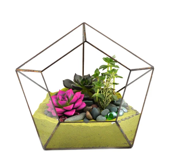 Floraryum beyaz üzerine izole