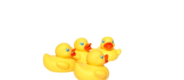 Beyaz arka planda kırmızı gagalı sarı yüzen ördekler