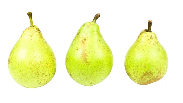 armutlar beyaz arkaplanda izole