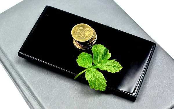 Üzerinde bozuk paralar olan yeşil bir yaprak siyah bir akıllı telefonun üstünde bir defter..