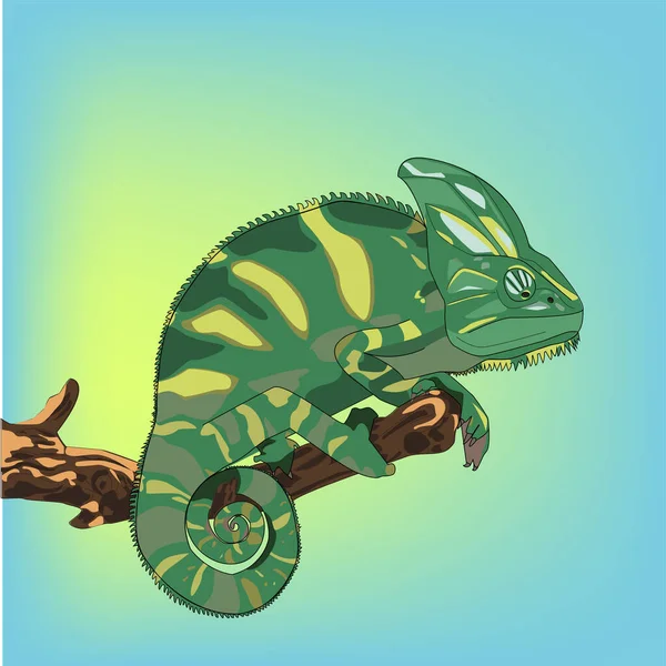 Iguane Lézard Iguane Vert Dans Beau Style Grande Conception Pour — Image vectorielle