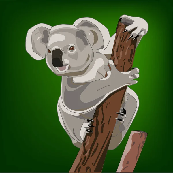 Koala Adorable Animal Dibujos Animados Animales Australianos Animales Salvajes — Vector de stock