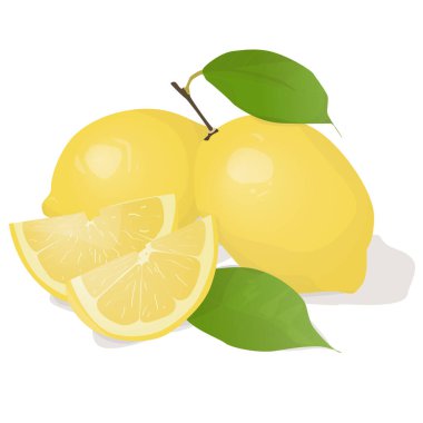 Yapraklı taze limon meyvesi. Limon vektör illüstrasyonu. Tam, ikiye bölünmüş, dilim dilim limon. Limon logosu ya da simgesi..