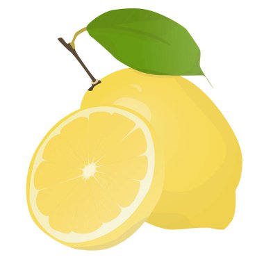Yapraklı taze limon meyvesi. Limon vektör illüstrasyonu. Tam, ikiye bölünmüş, dilim dilim limon. Limon logosu ya da simgesi..