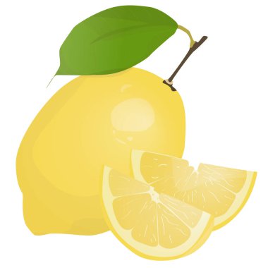 Yapraklı taze limon meyvesi. Limon vektör illüstrasyonu. Tam, ikiye bölünmüş, dilim dilim limon. Limon logosu ya da simgesi..