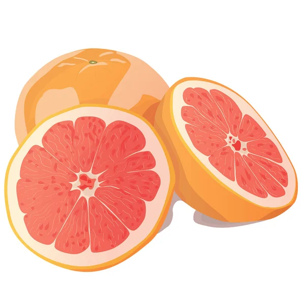 Realistic Citrus Image Red Oranges Fruits Slices Isolated White Background — Stock Vector