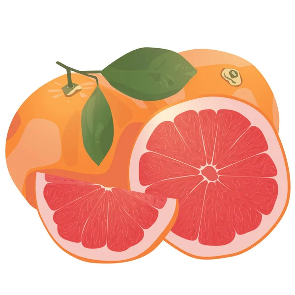 Реалистичный Цитрусовый Образ Красные Апельсины Фрукты Ломтики Листьями Изолированы Белом — стоковый вектор